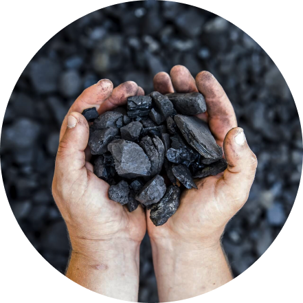 coal-in-hands